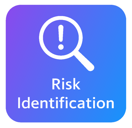 Risk Identification Picture