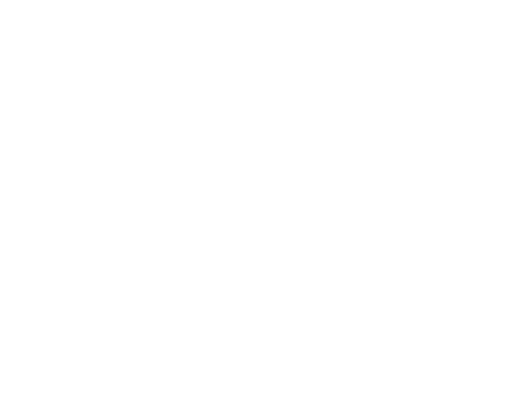 CIS logo