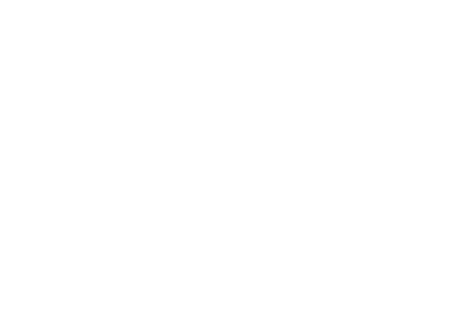 Secure Score Logo